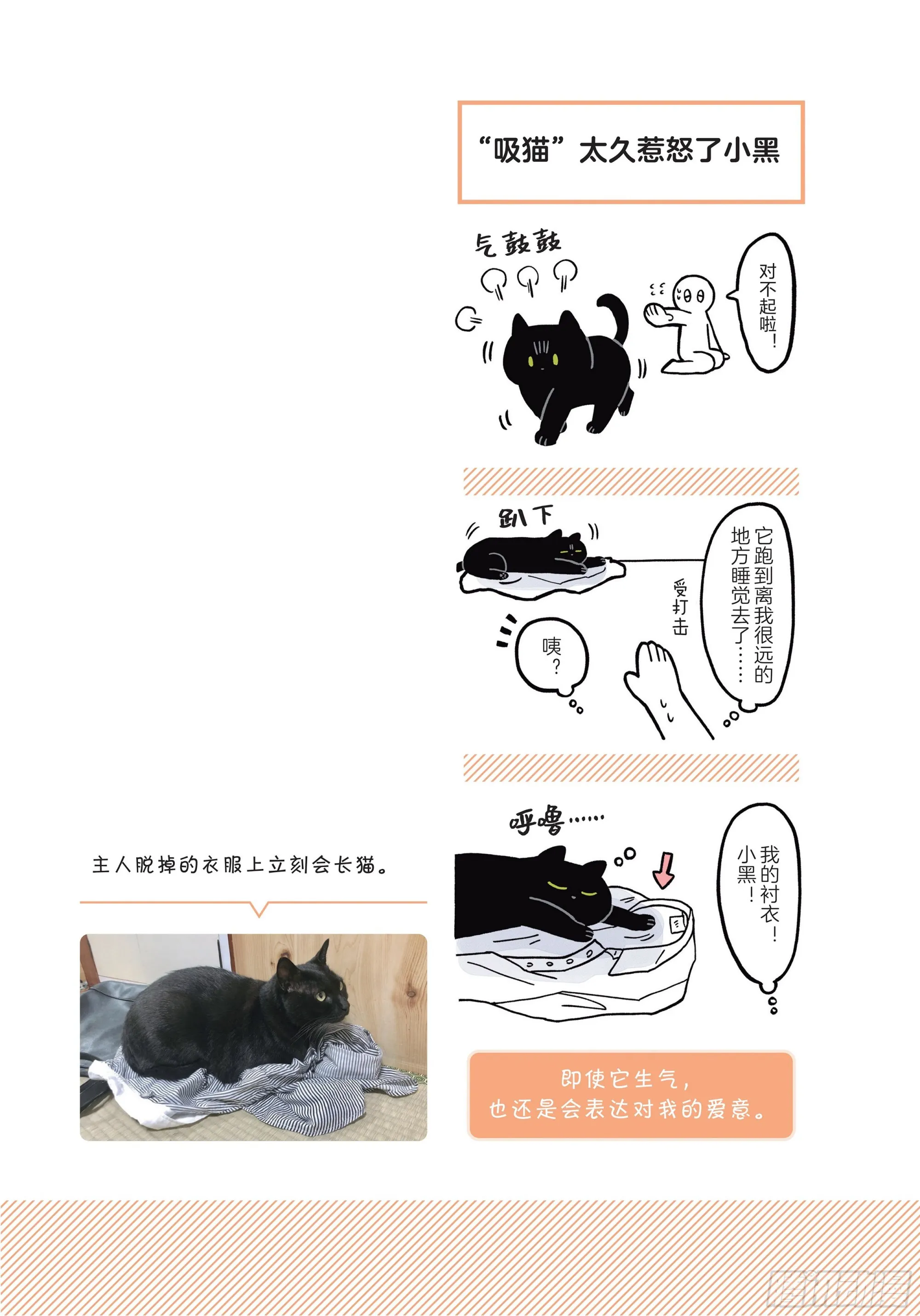 第2章 猫咪赐予我的人生初体验 第5页