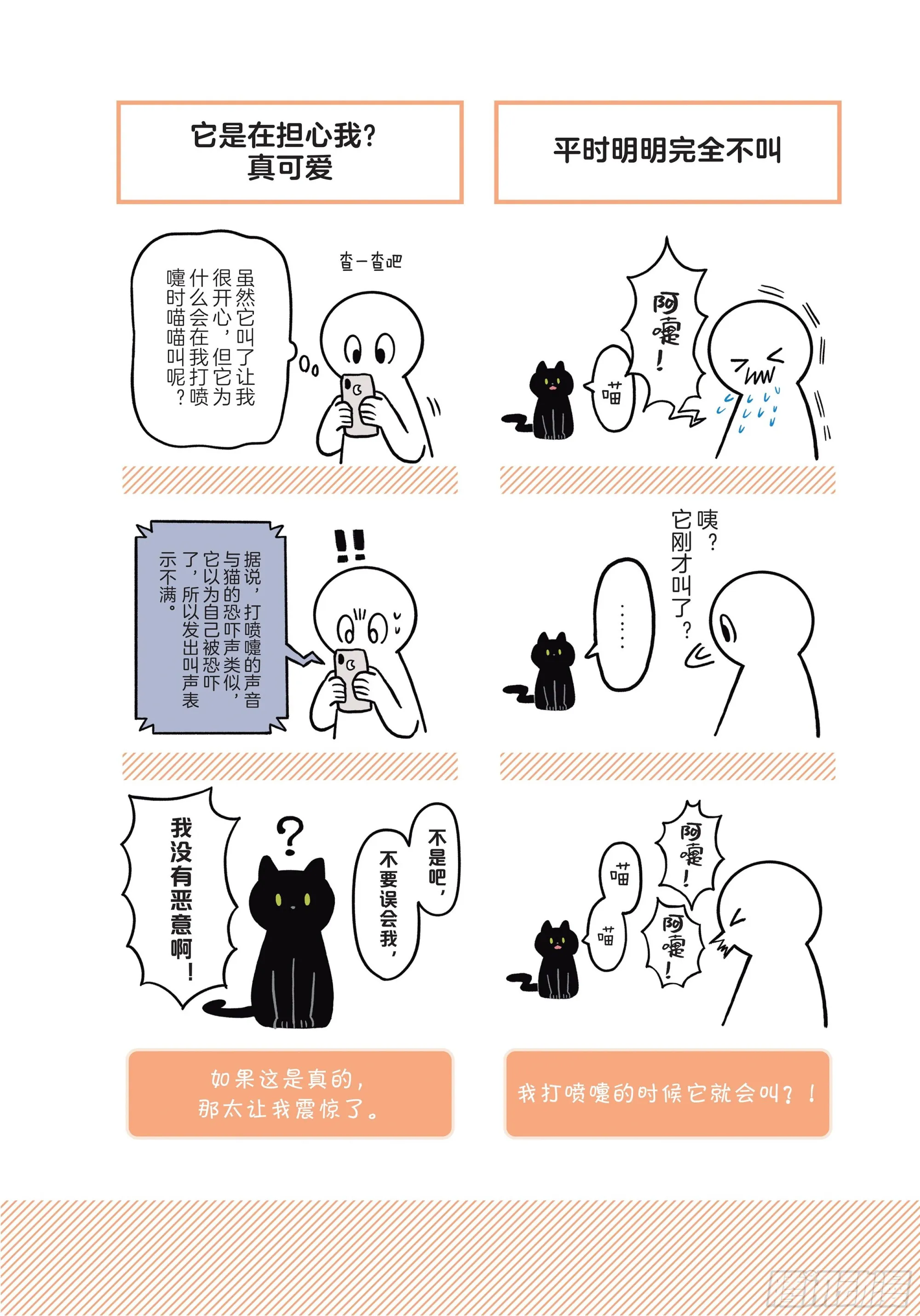 第2章 猫咪赐予我的人生初体验 第6页