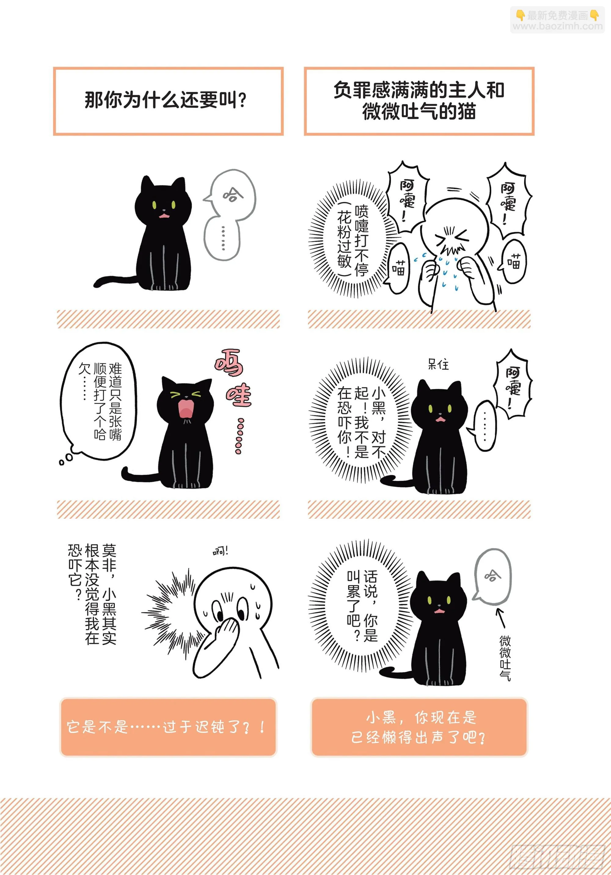 第2章 猫咪赐予我的人生初体验 第7页