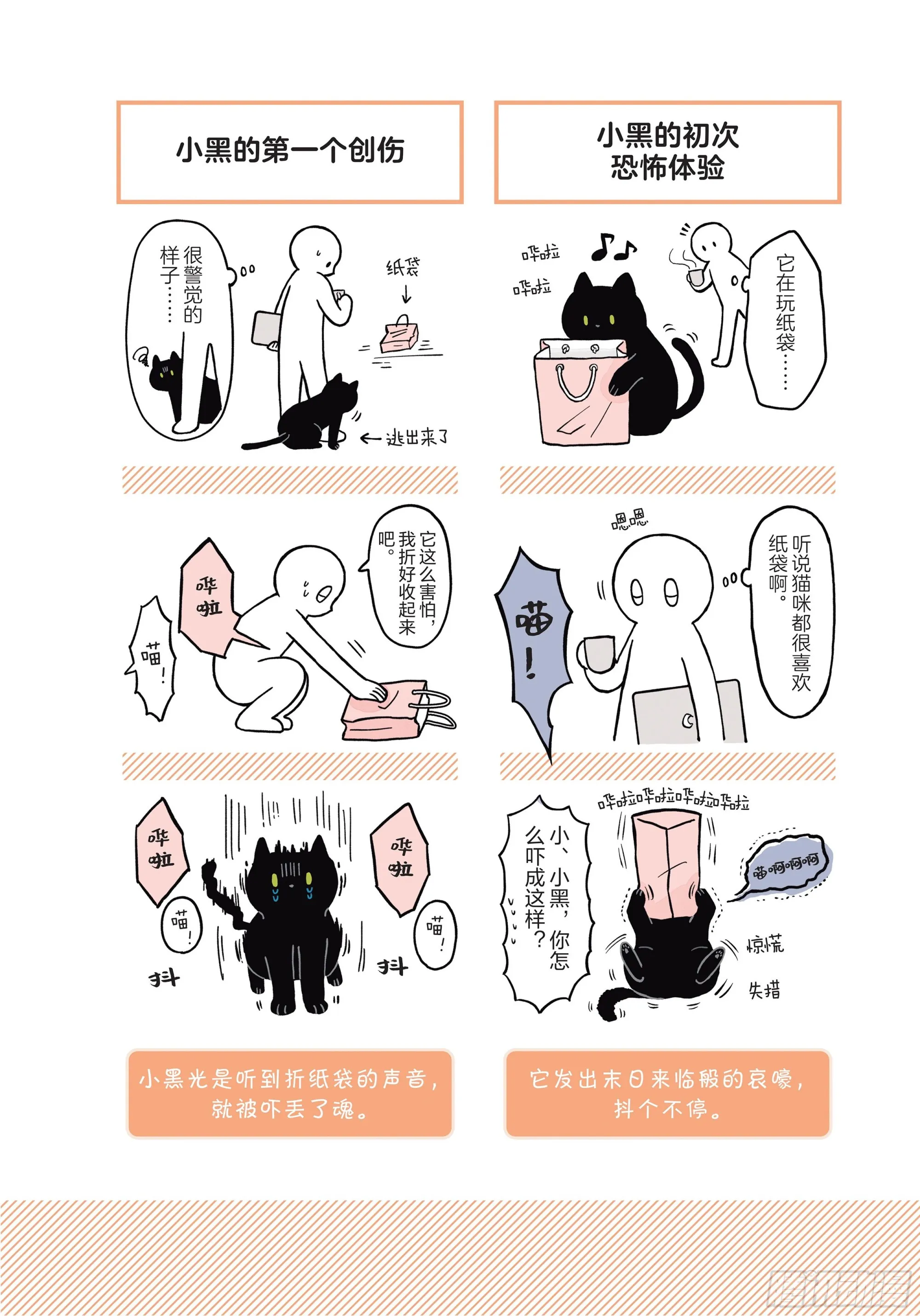 第2章 猫咪赐予我的人生初体验 第12页