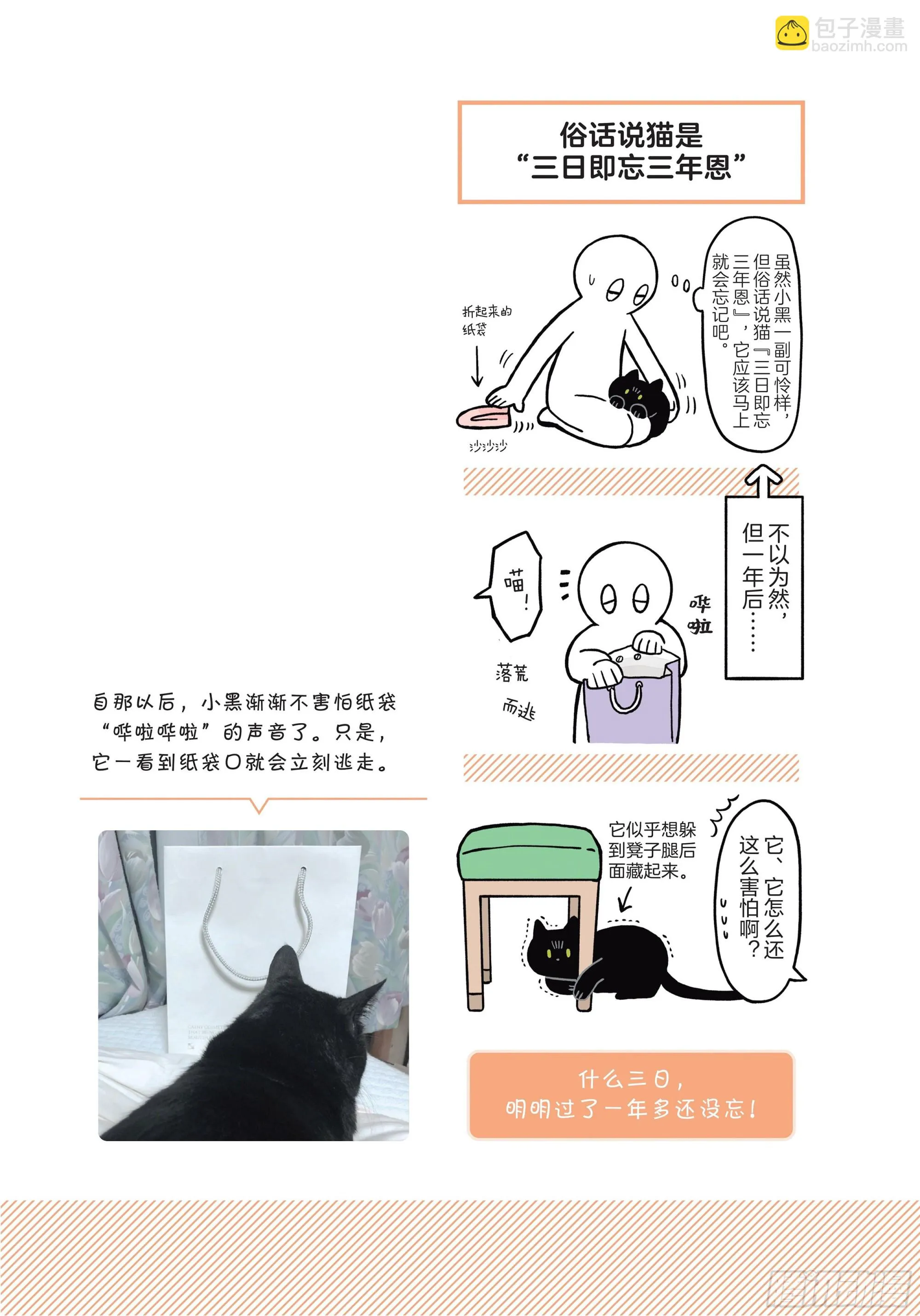 第2章 猫咪赐予我的人生初体验 第13页
