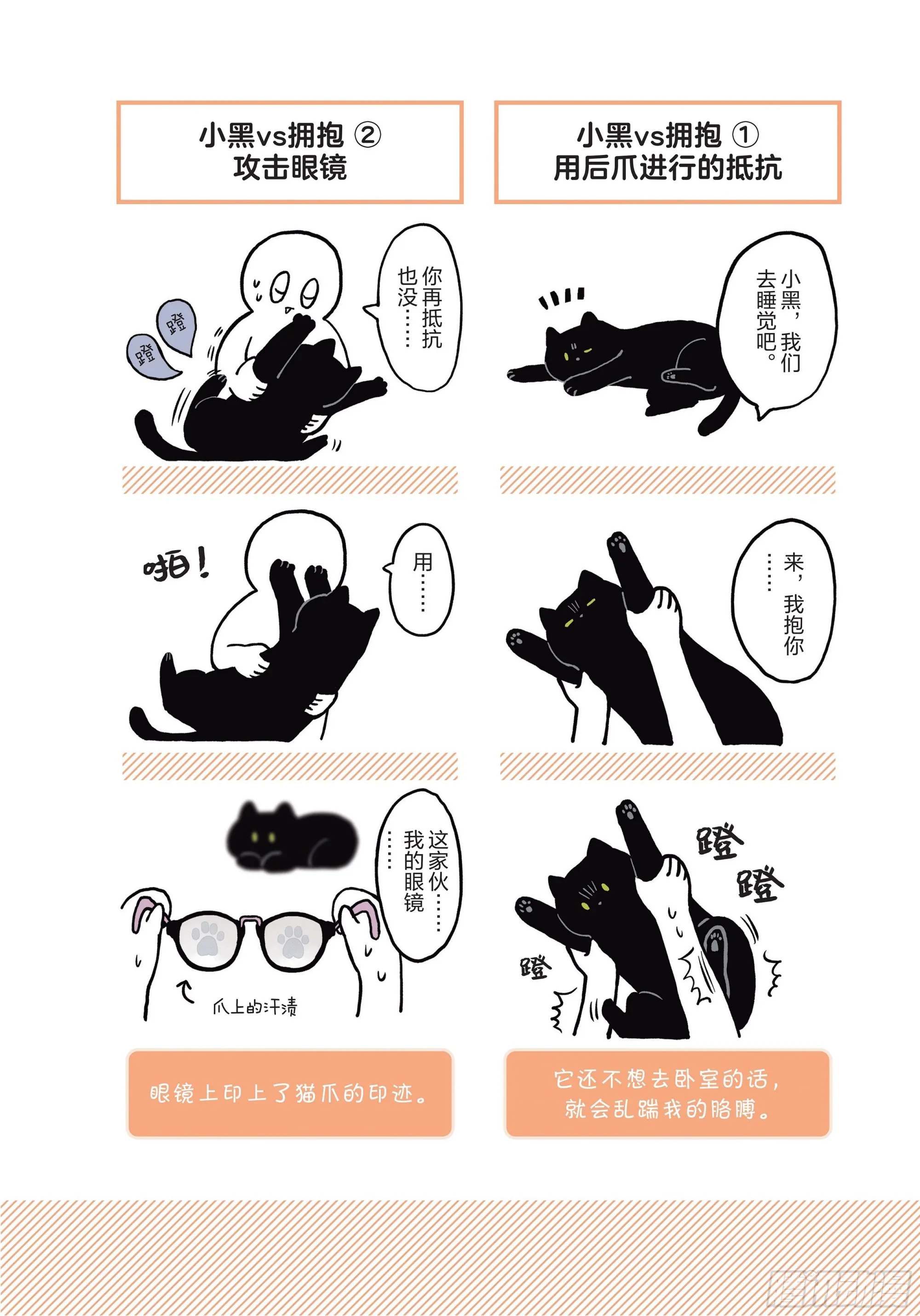 第2章 猫咪赐予我的人生初体验 第14页