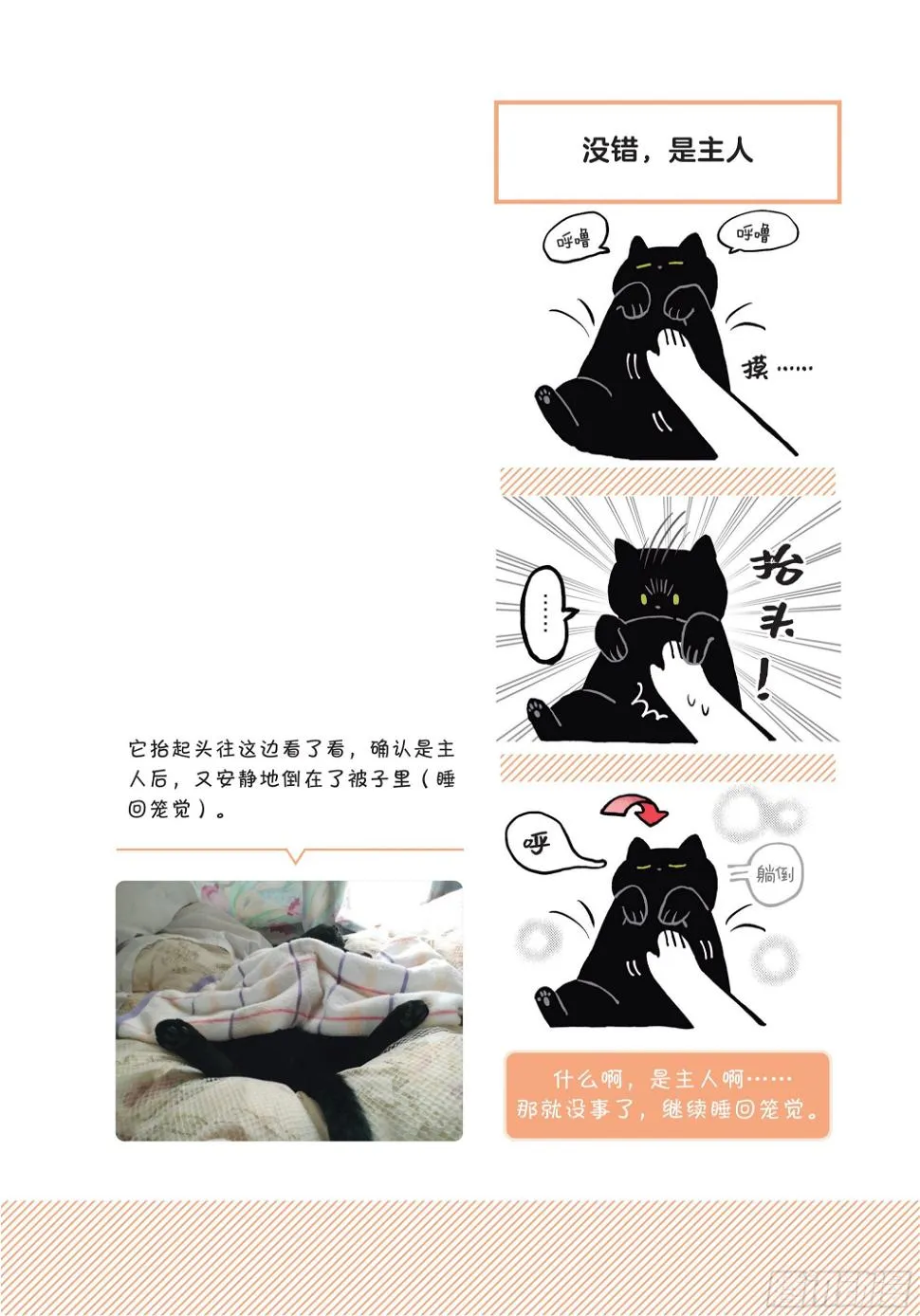 第2章 猫咪赐予我的人生初体验 第16页