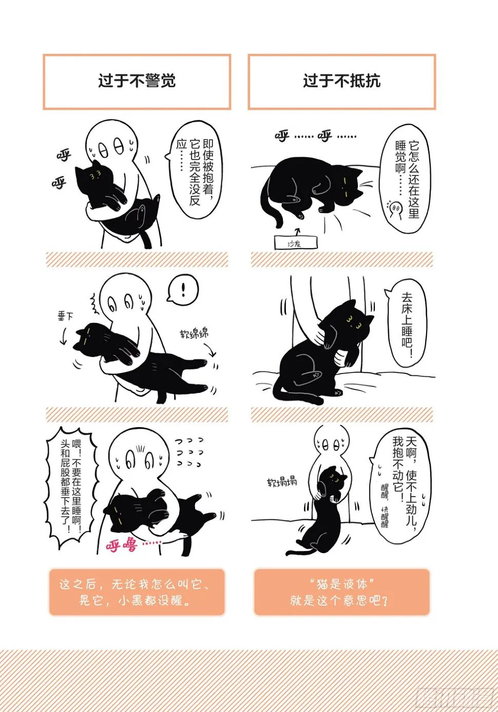 第2章 猫咪赐予我的人生初体验 第17页