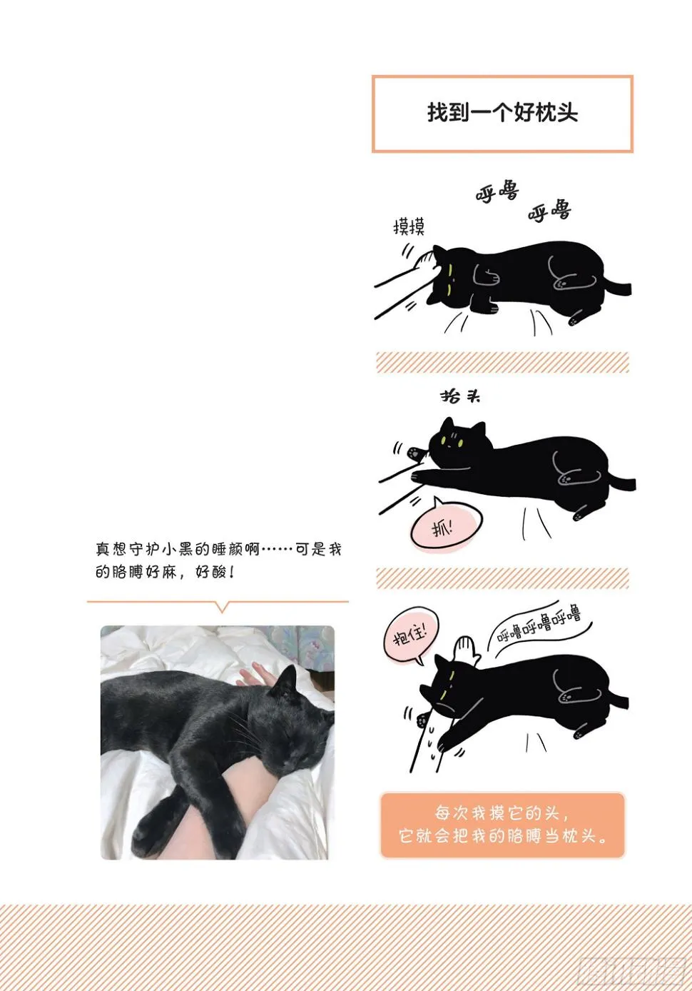 第2章 猫咪赐予我的人生初体验 第18页