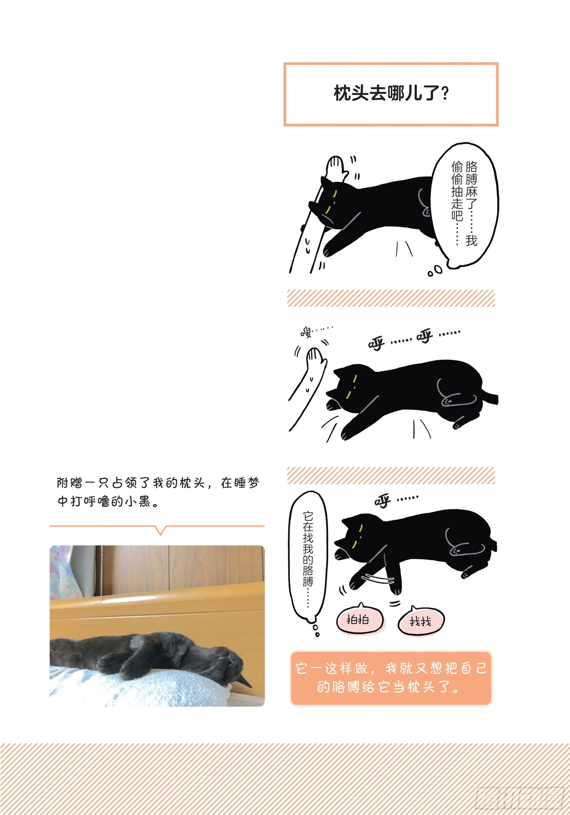 第2章 猫咪赐予我的人生初体验 第19页
