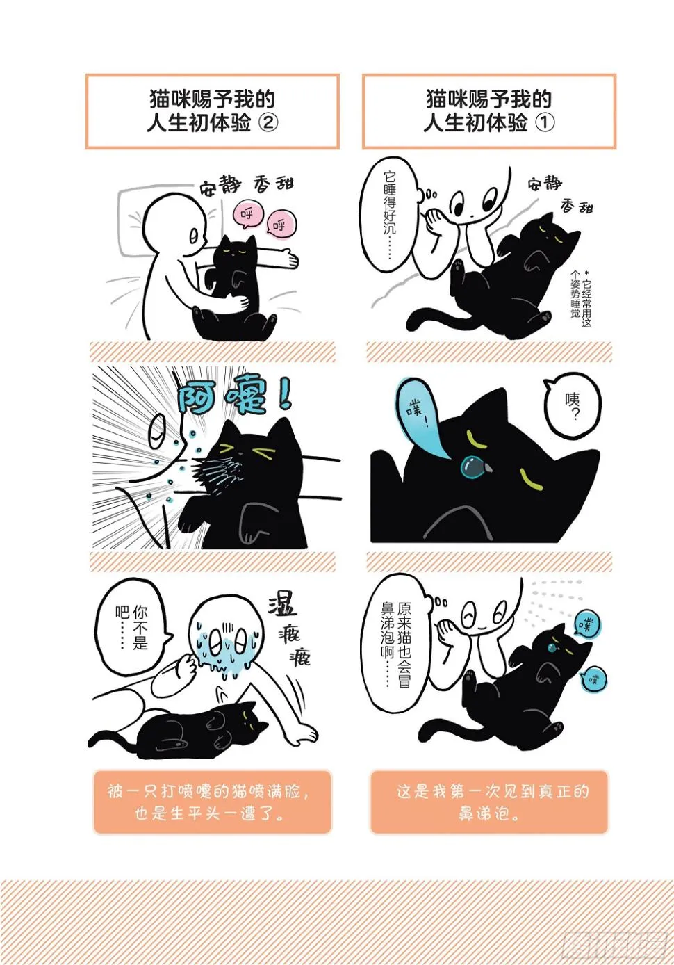 第2章 猫咪赐予我的人生初体验 第20页