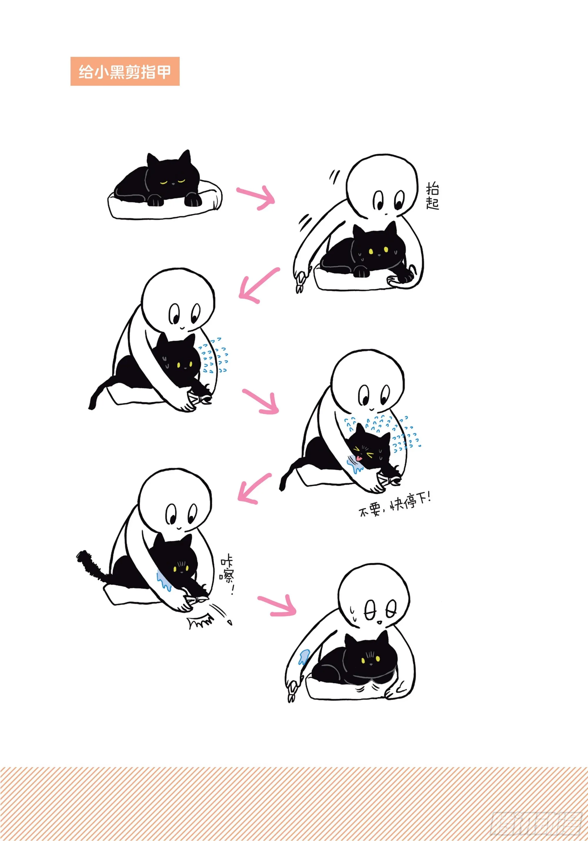 第2章 猫咪赐予我的人生初体验 第21页