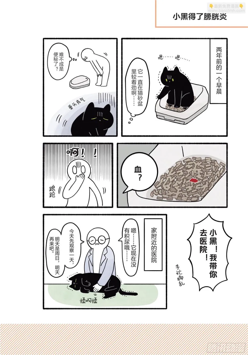 第2章 猫咪赐予我的人生初体验 第22页