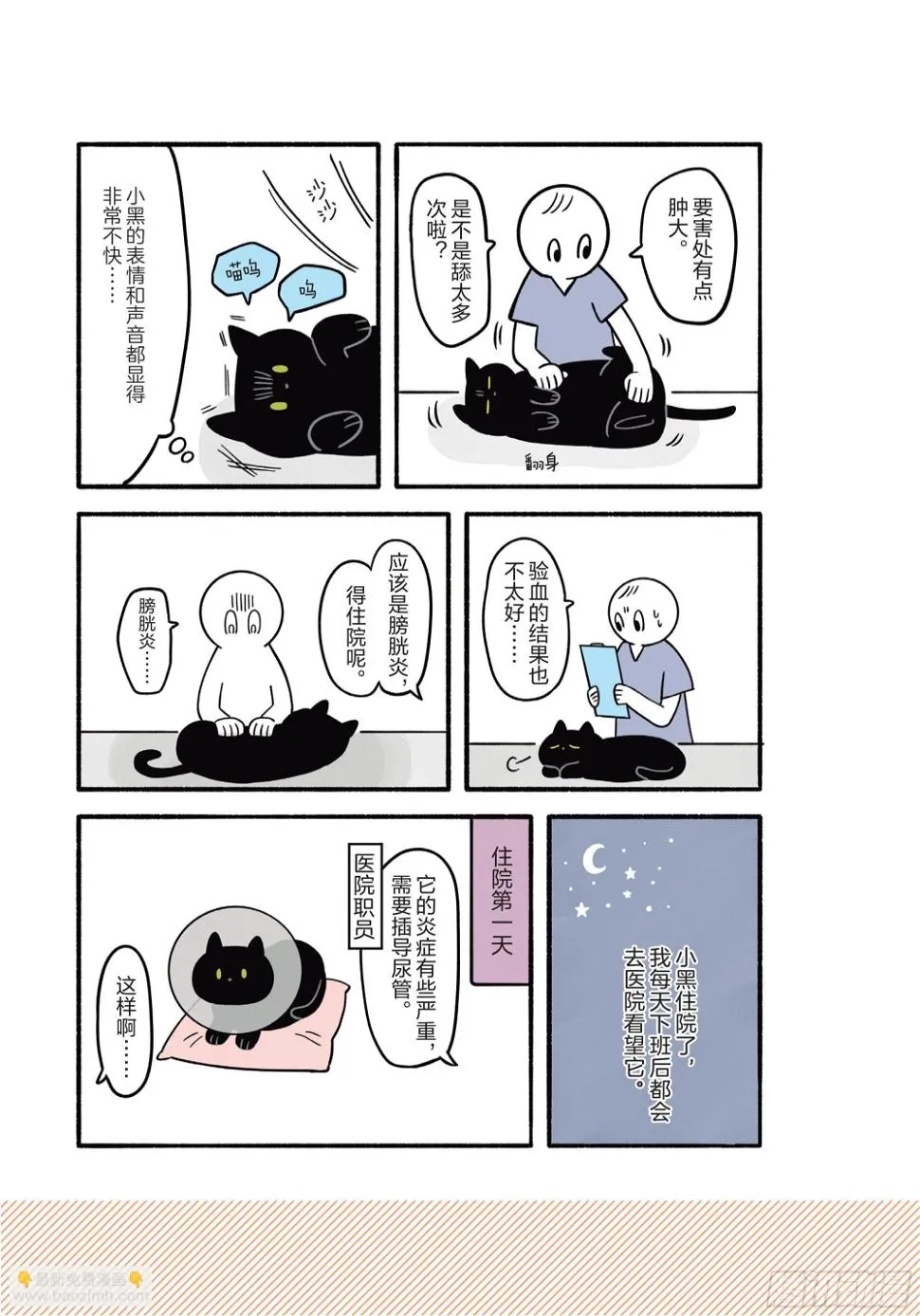 第2章 猫咪赐予我的人生初体验 第25页