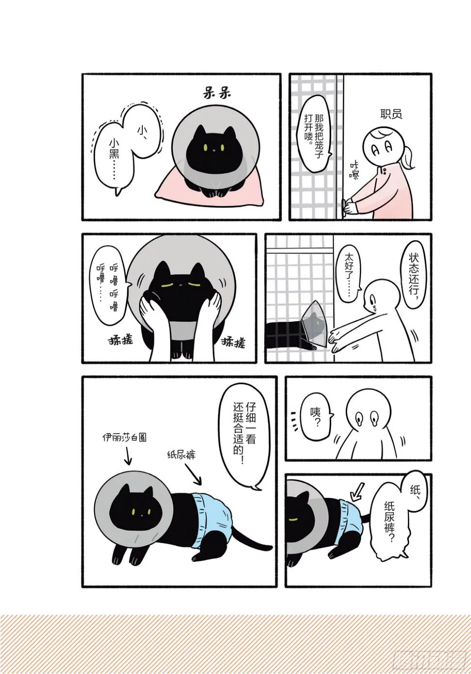 第2章 猫咪赐予我的人生初体验 第26页