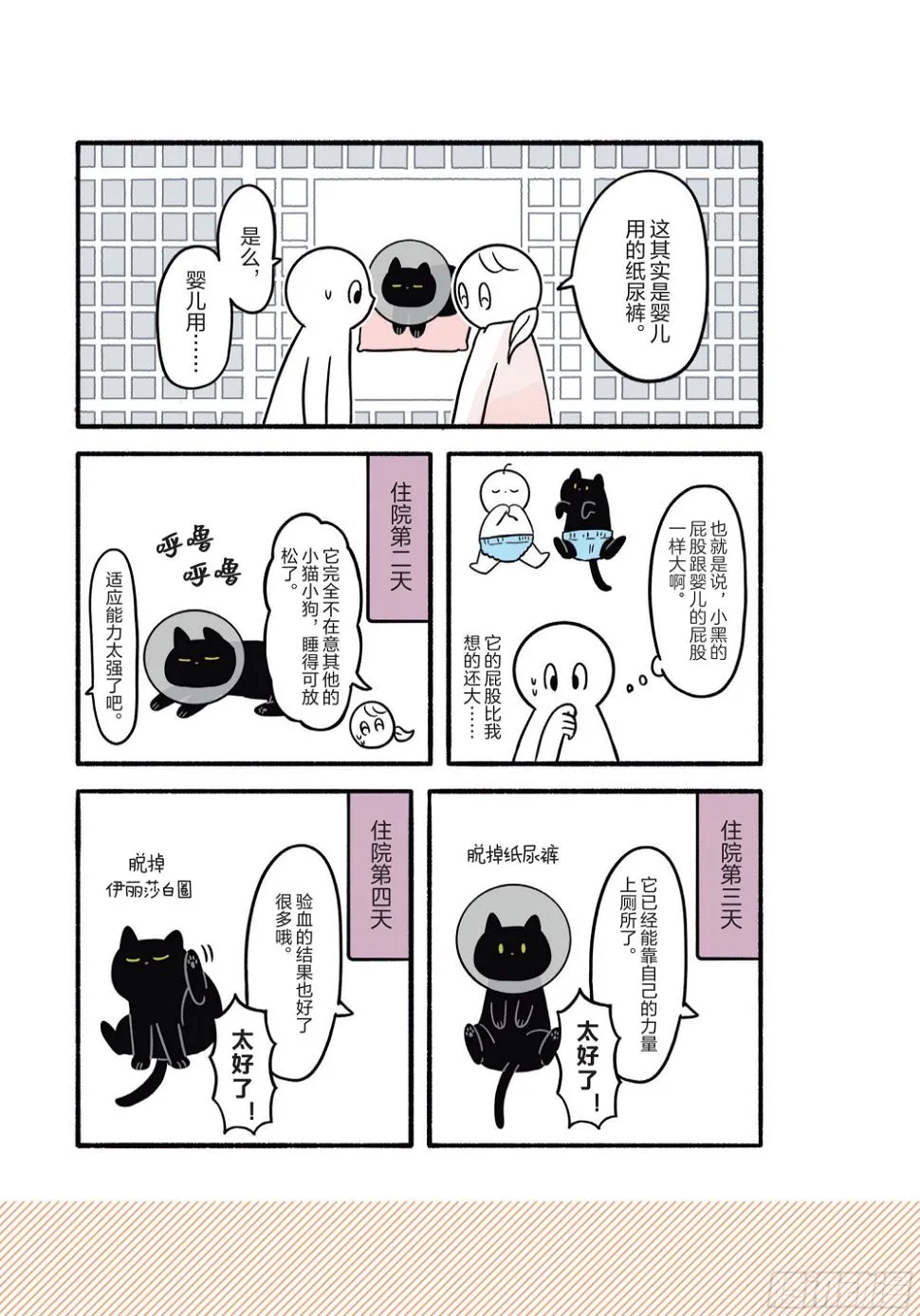 第2章 猫咪赐予我的人生初体验 第27页