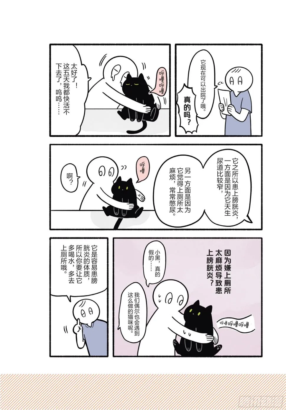 第2章 猫咪赐予我的人生初体验 第28页