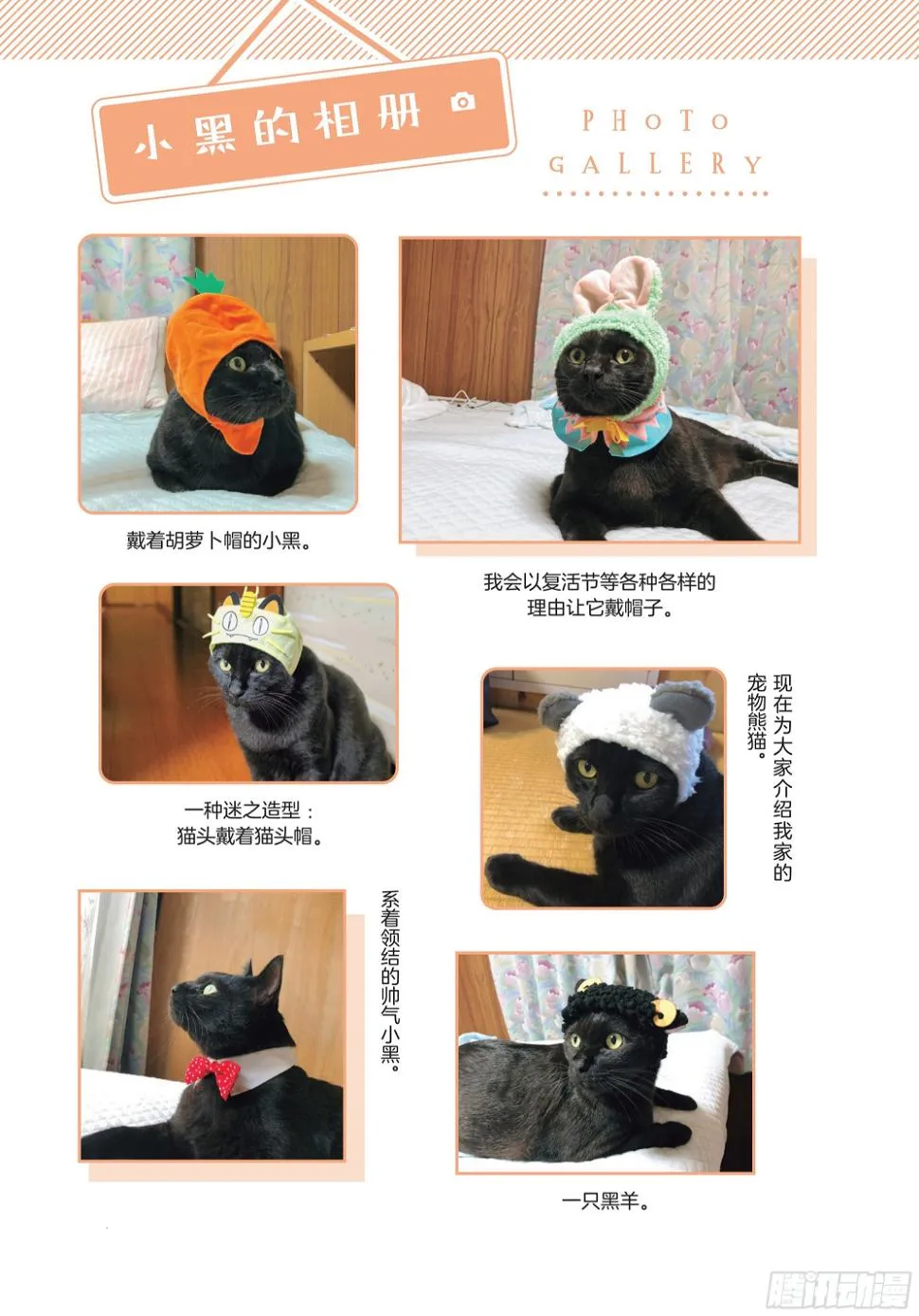 第2章 猫咪赐予我的人生初体验 第31页