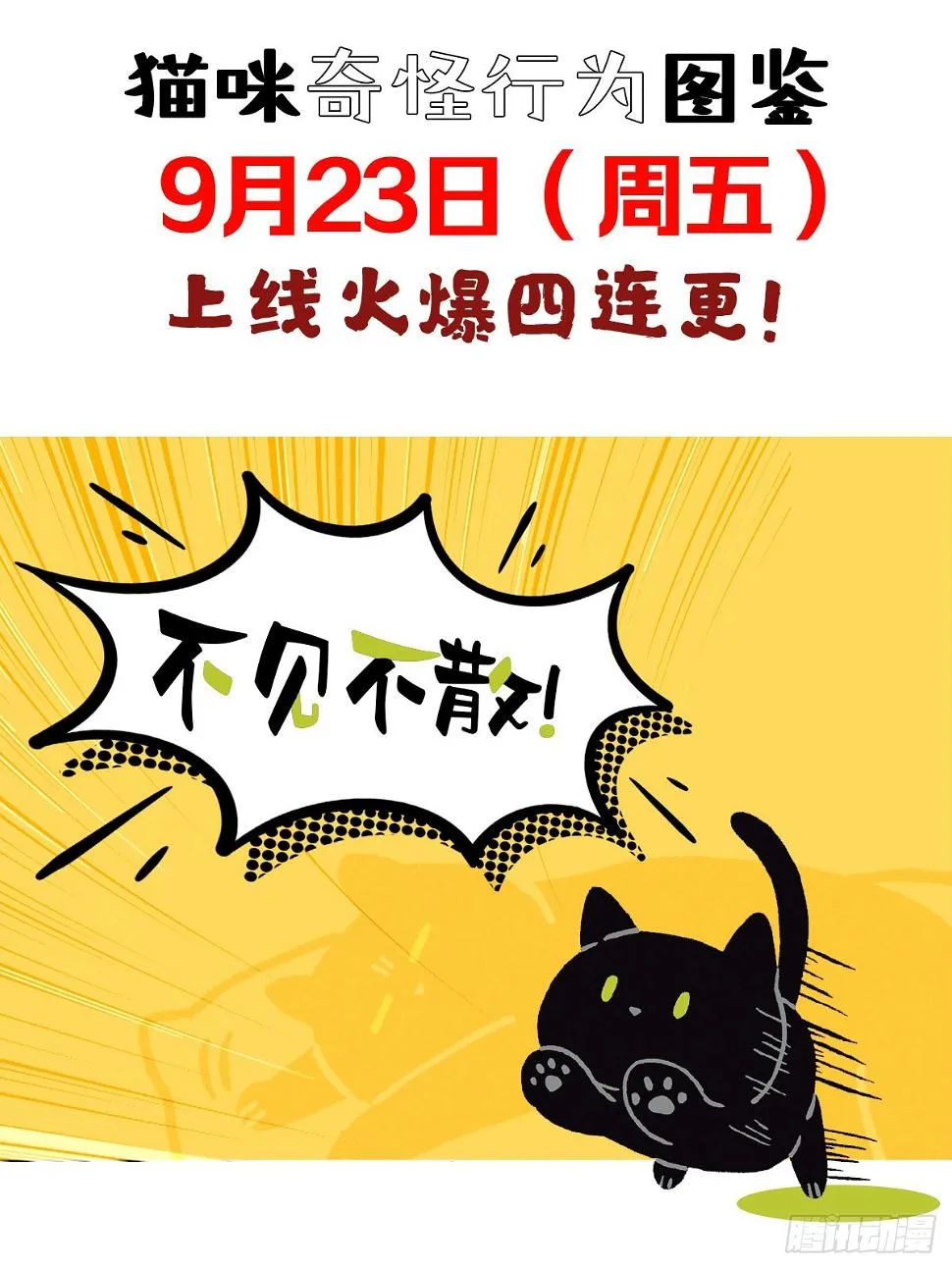 第2章 猫咪赐予我的人生初体验 第33页