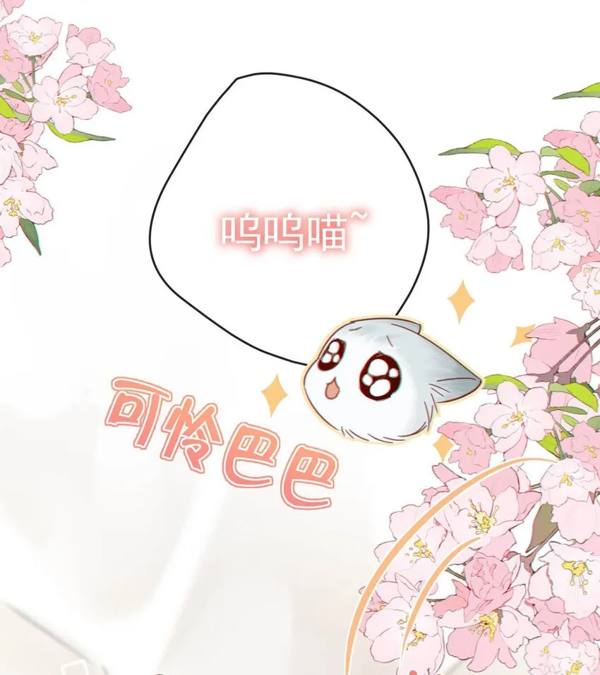 055 所以，是礼物吗？ 第13页