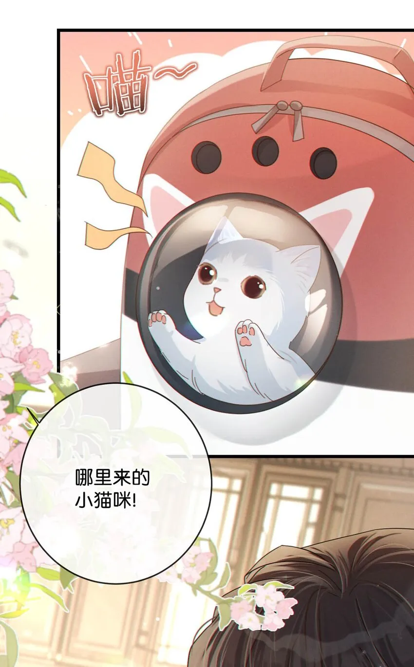 053 从给家人准备惊喜开始吧。 第27页