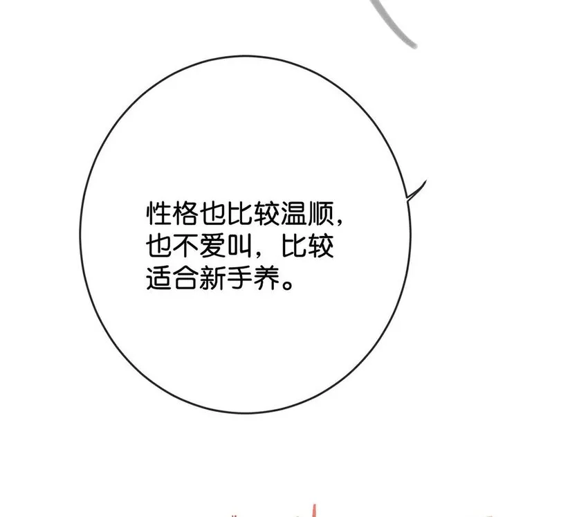043 如何做好一个父亲。 第12页