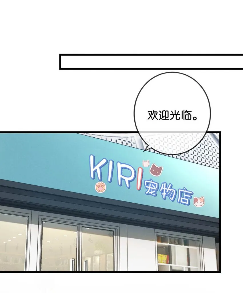 042 沈庭未应该会喜欢它。 第26页