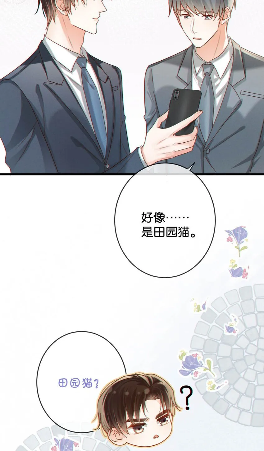 042 沈庭未应该会喜欢它。 第32页