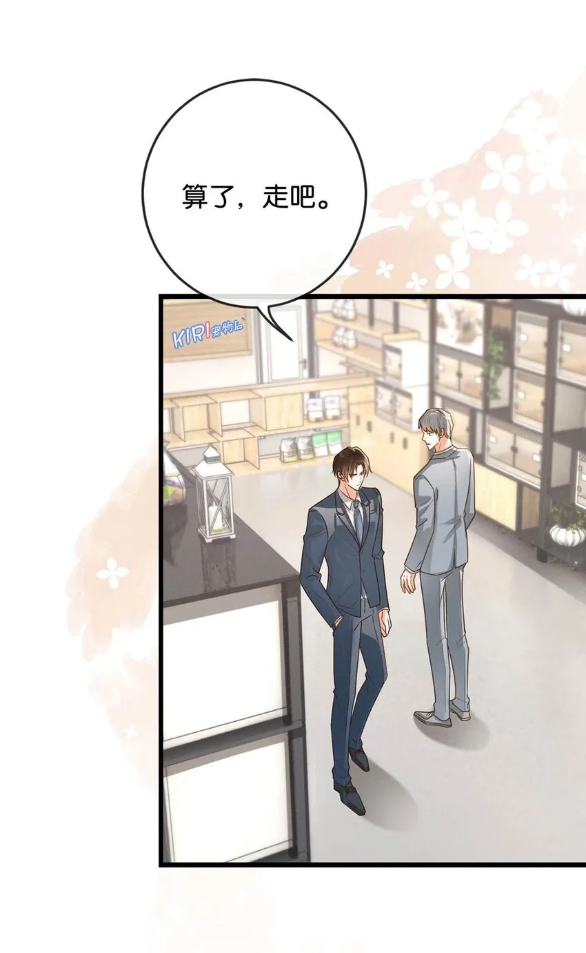 042 沈庭未应该会喜欢它。 第36页
