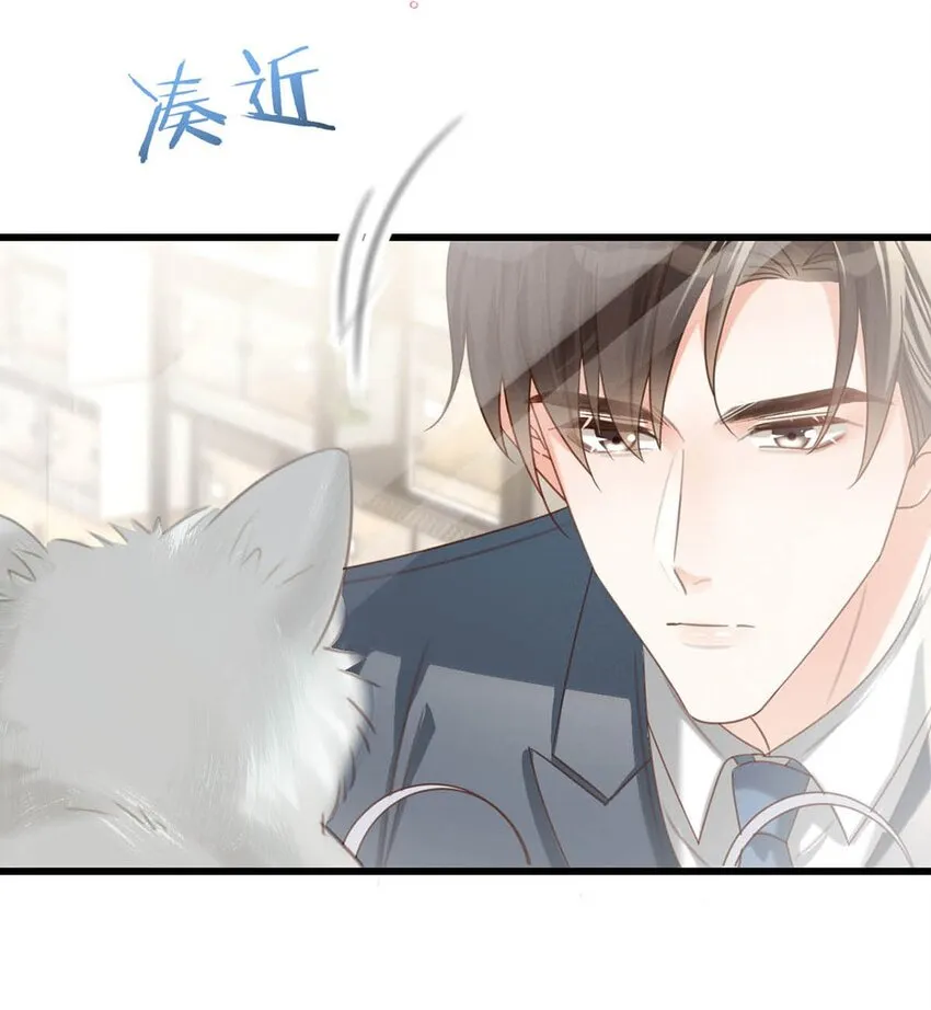 042 沈庭未应该会喜欢它。 第39页