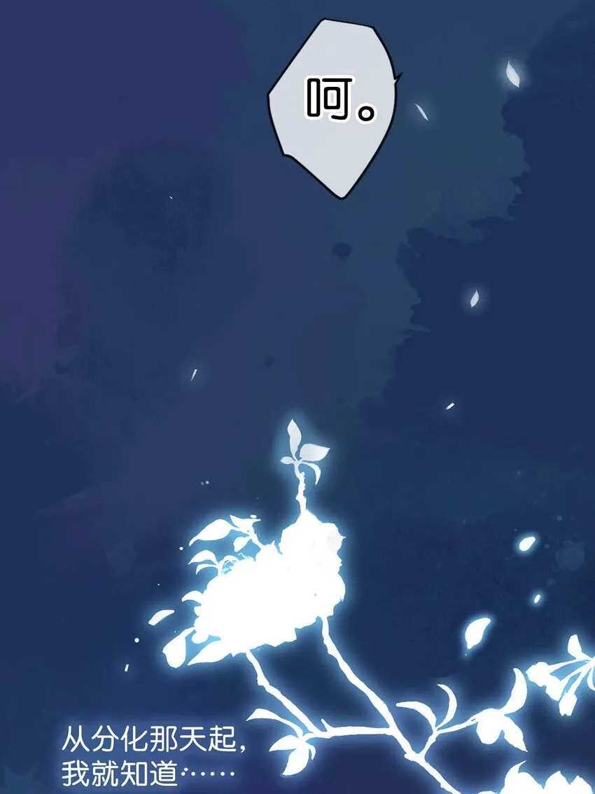 004 和Beta做，可以缓解吗？ 第11页