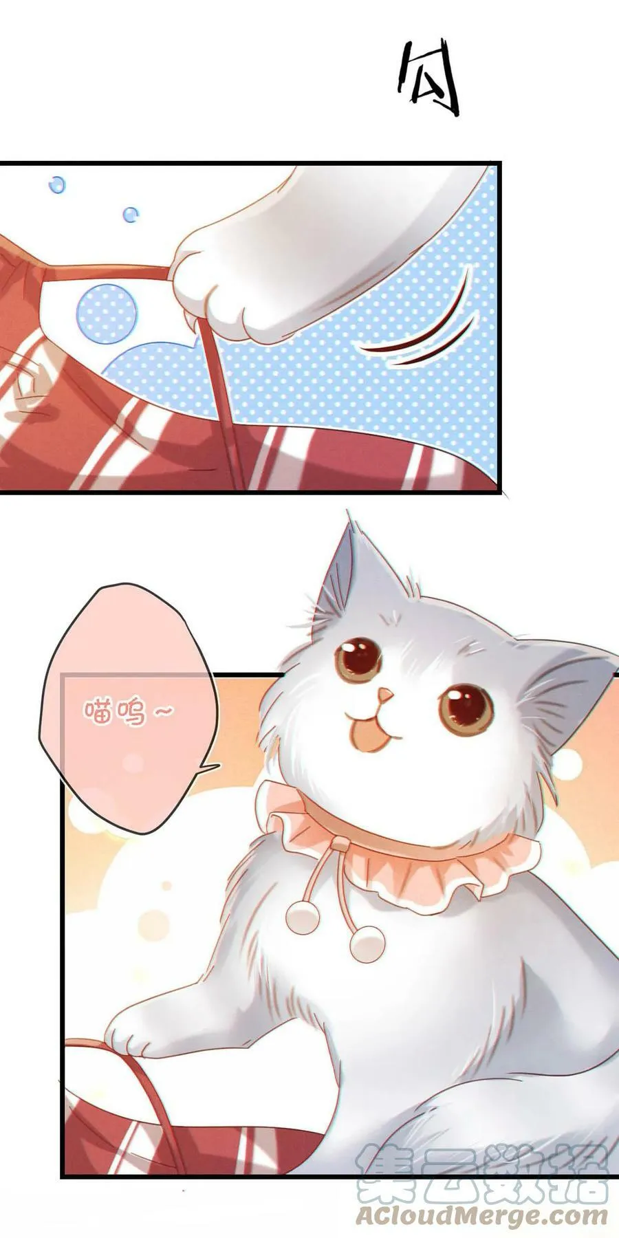 072 他还是个二婚？！ 第25页