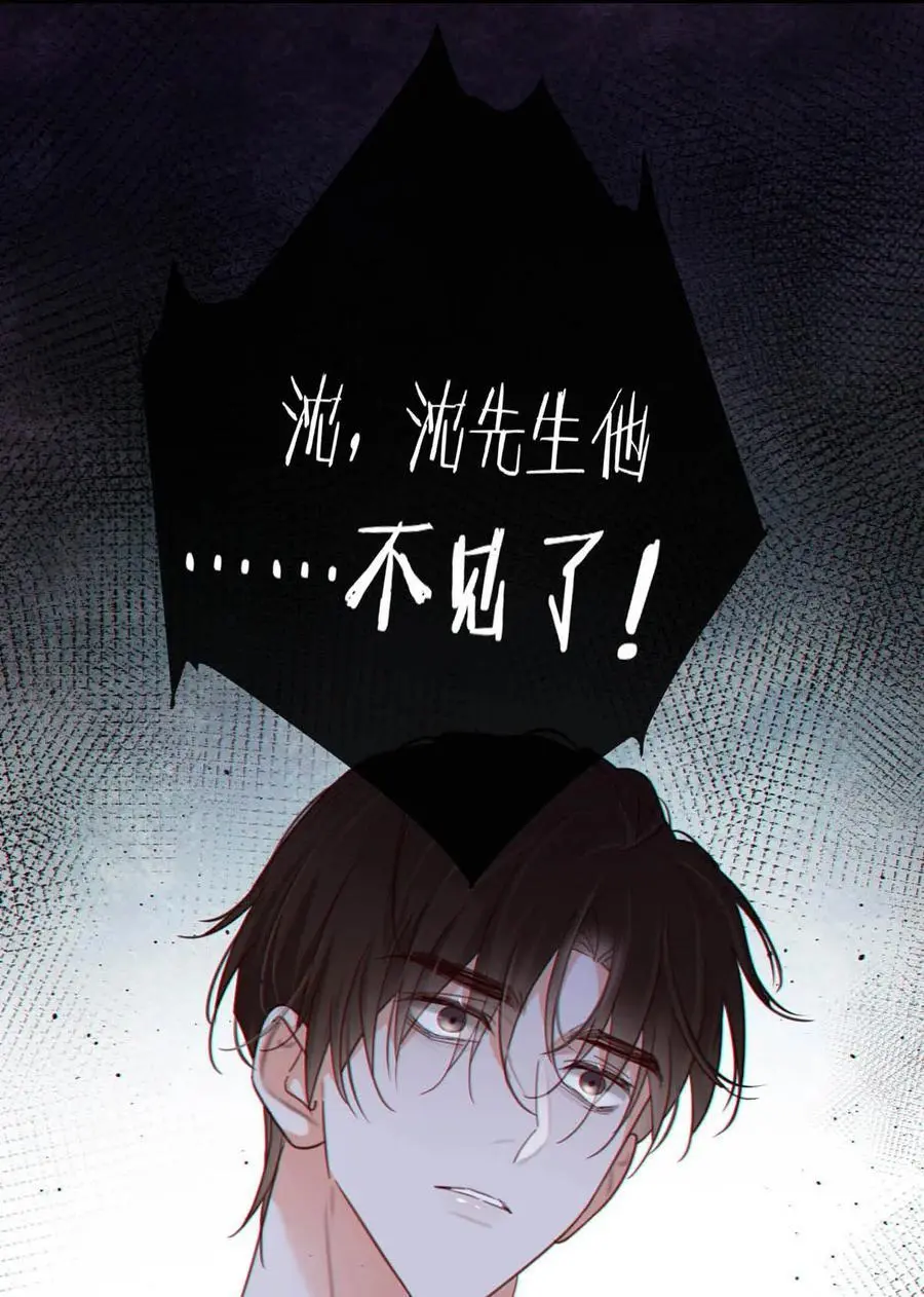 094 沈先生他……不见了! 第54页