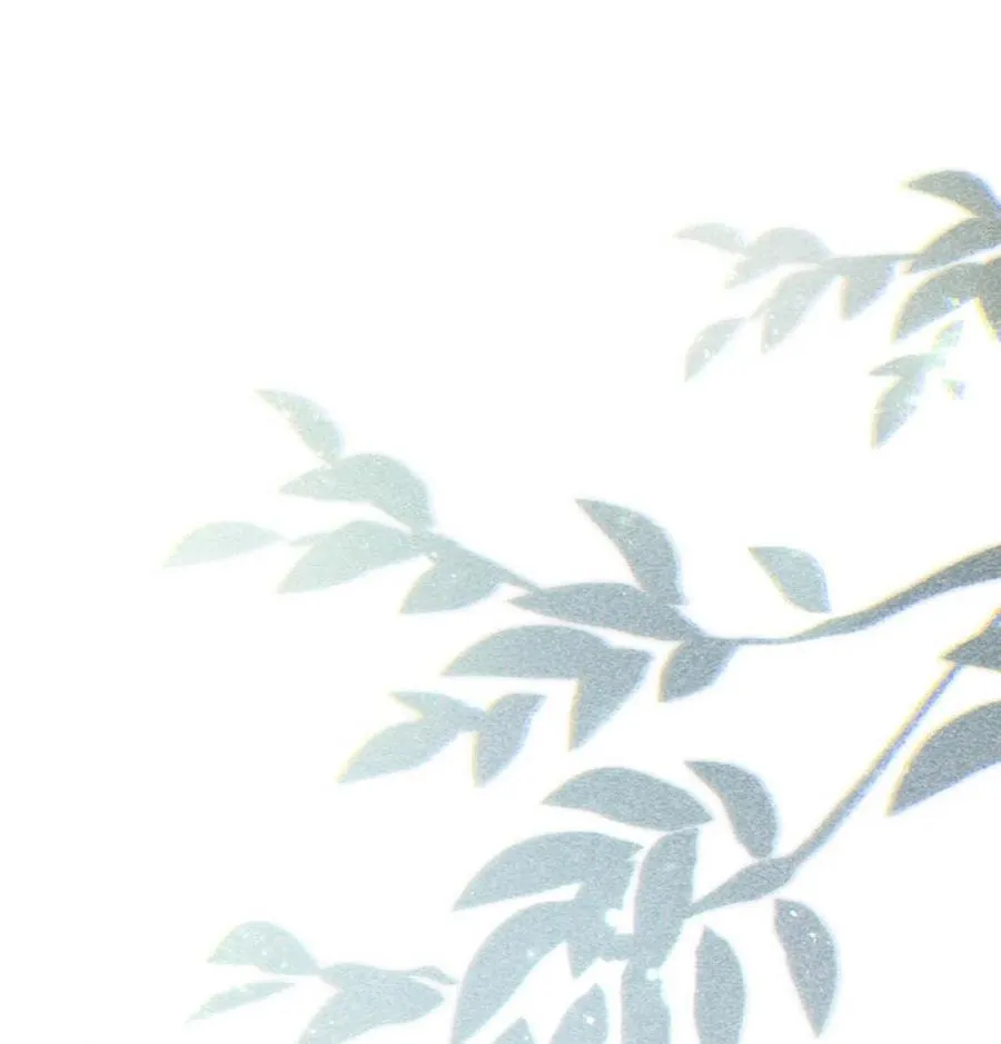 完结番外5 林琛篇（完结） 第38页
