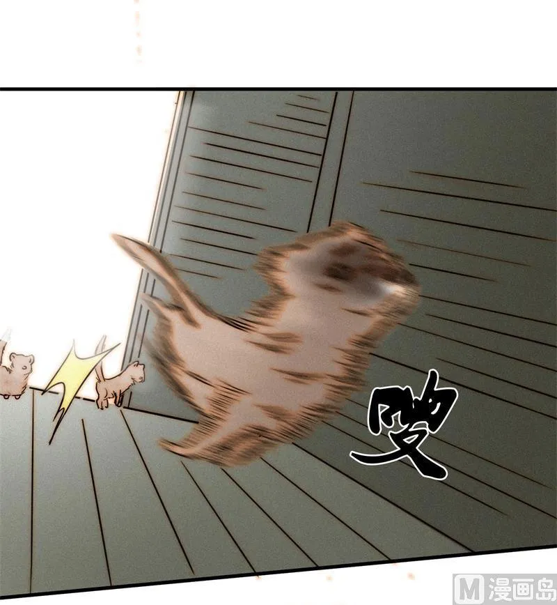 殉情 第66页