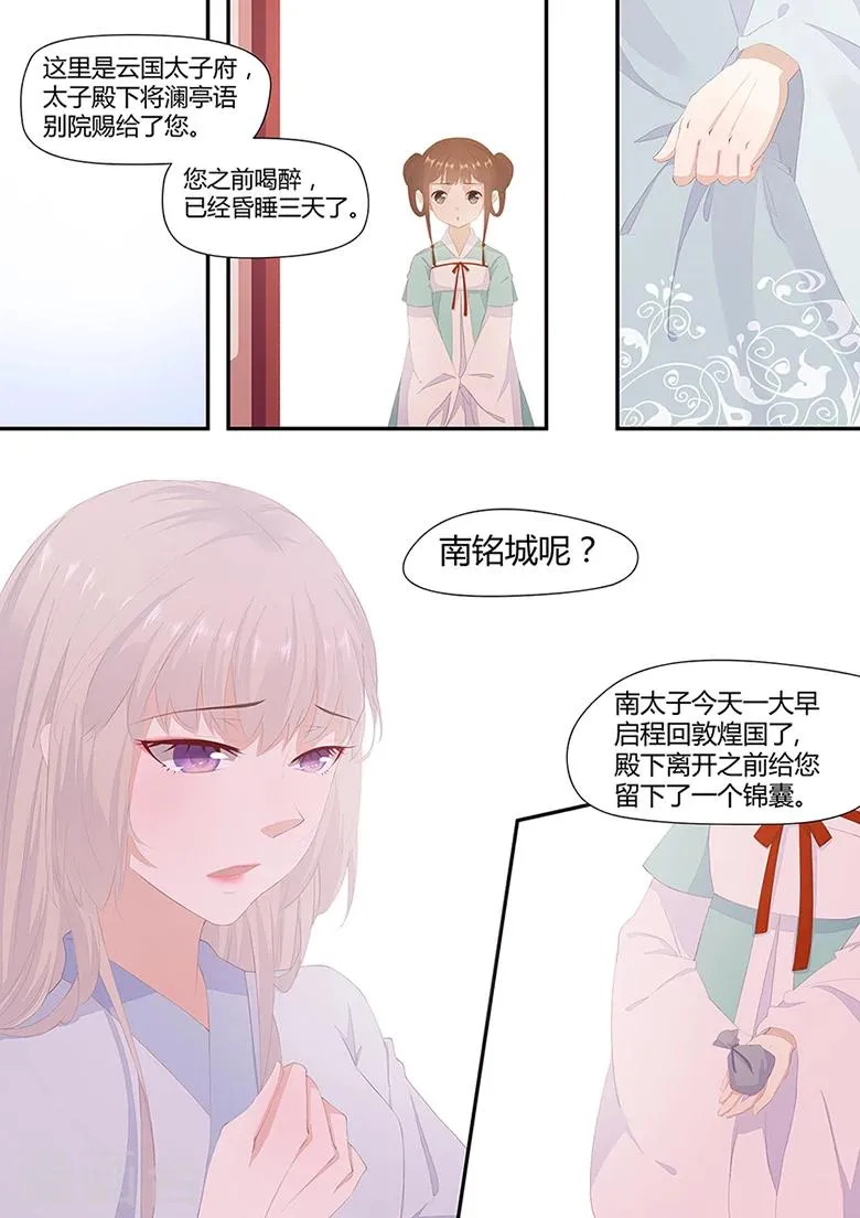 第19话 太子妃跑了 第3页