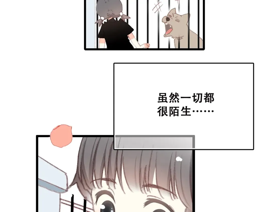第1话 没有偶然的相遇 第15页