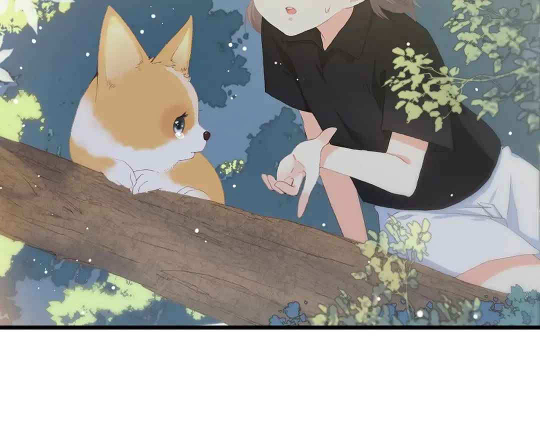 第1话 没有偶然的相遇 第55页