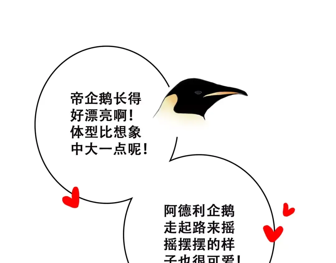 第14话（上） 可爱的企鹅 第57页