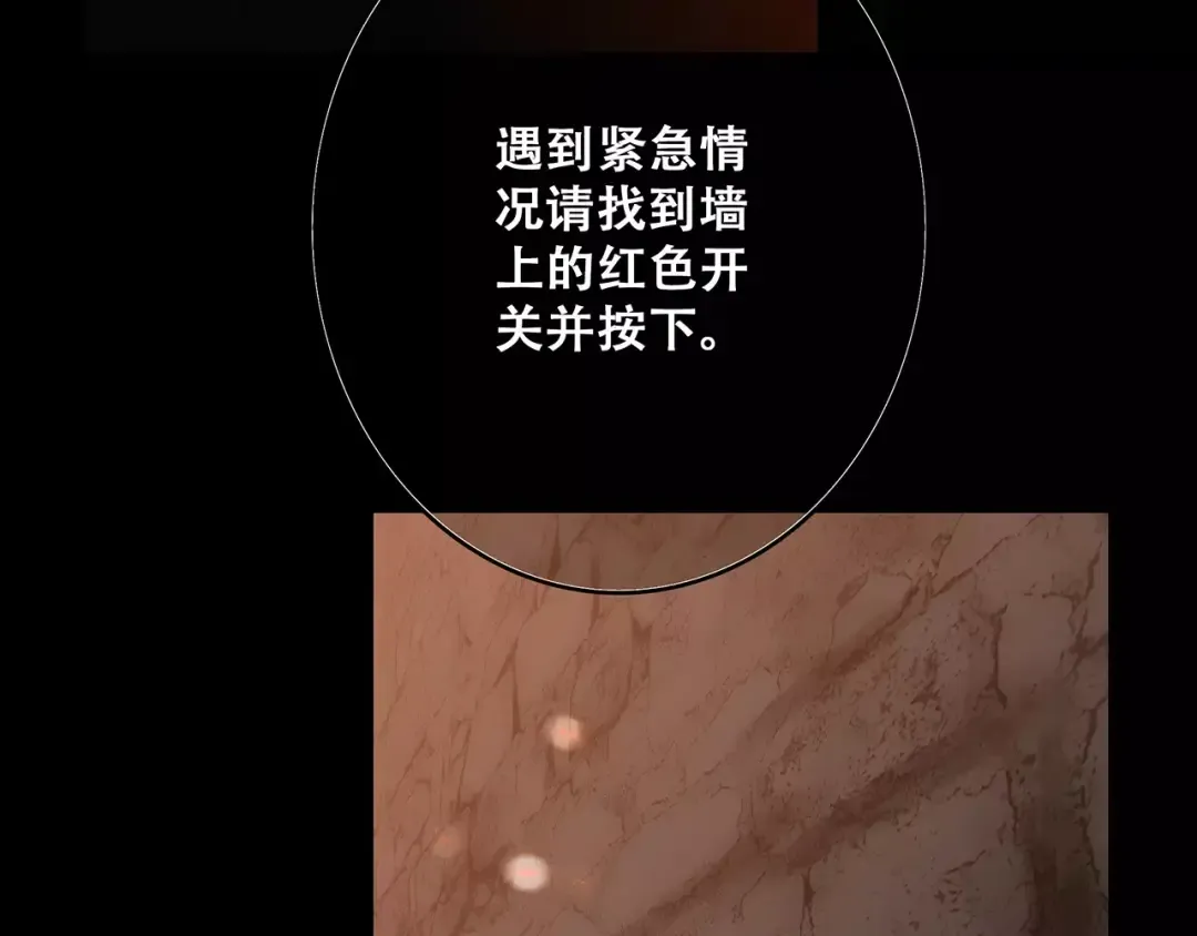 第15话（上） 黑暗中的太阳 第11页