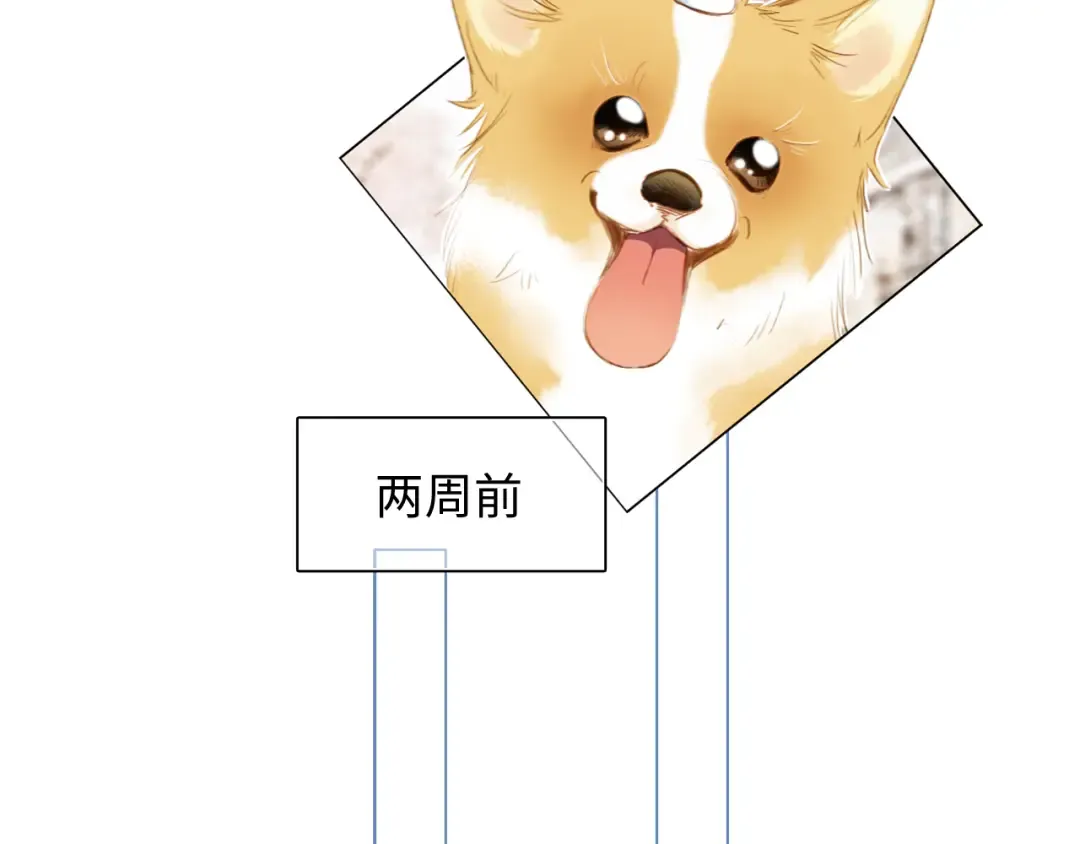 番外 小小心思 第3页