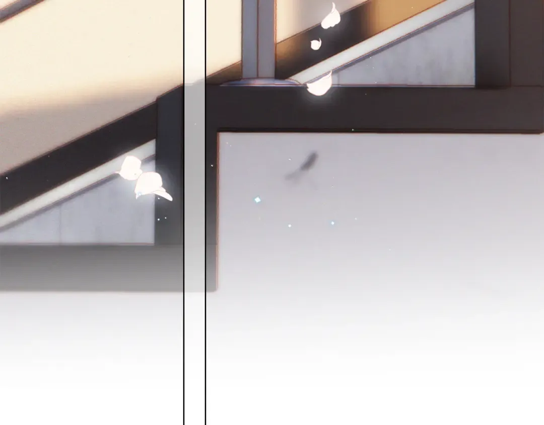 116 泉的决定 第28页