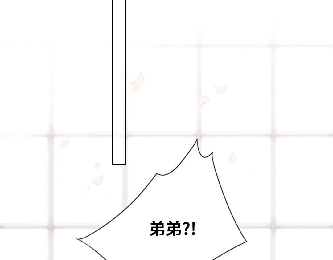 116 泉的决定 第29页