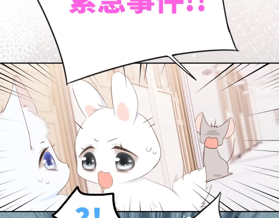 117 心上人…和谁在通话中？ 第135页