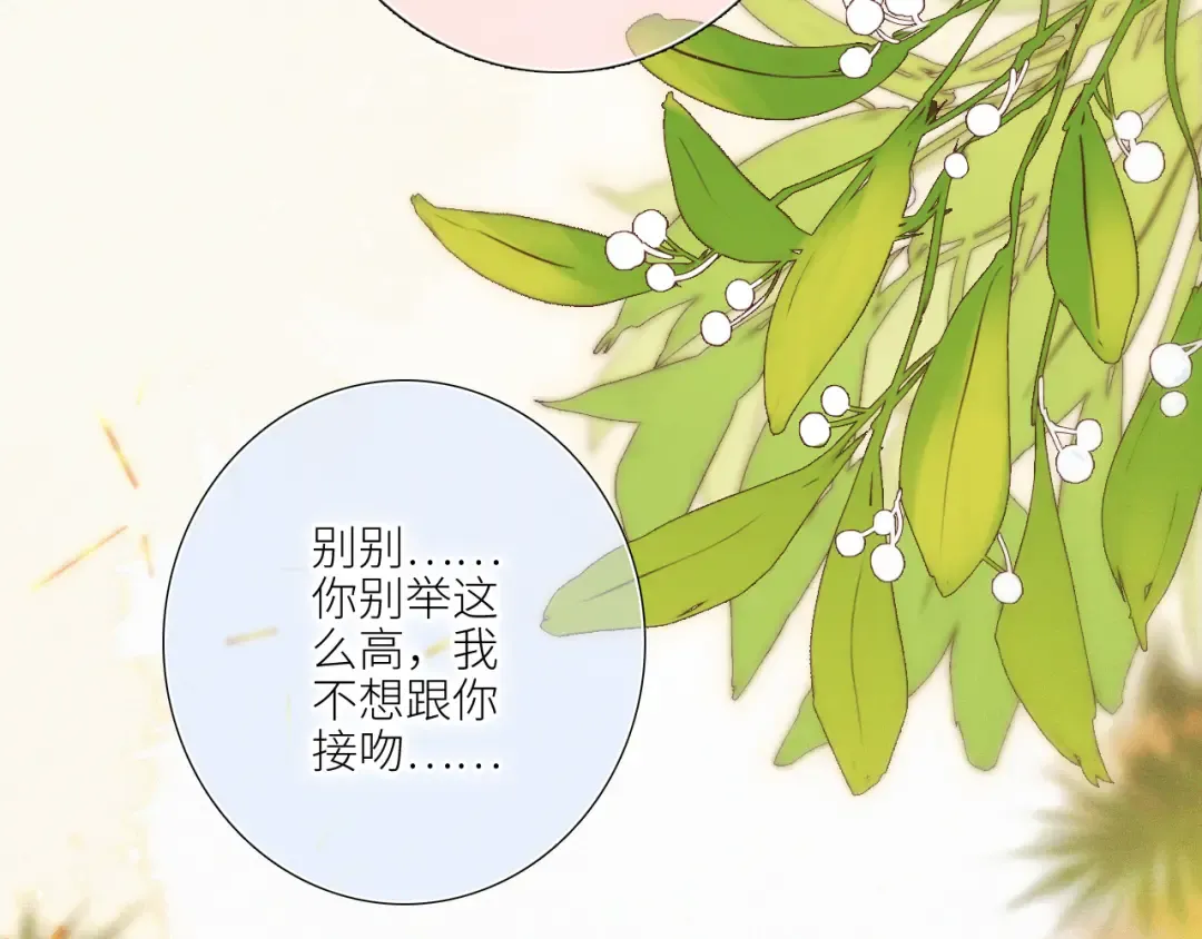 圣诞番外 白泉x卓一阳 第4页