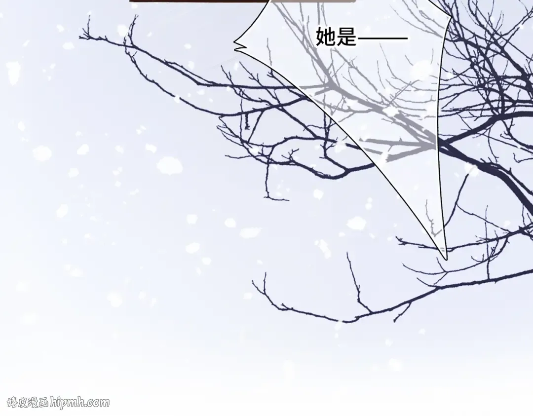 新年番外 晏华喜事 第64页