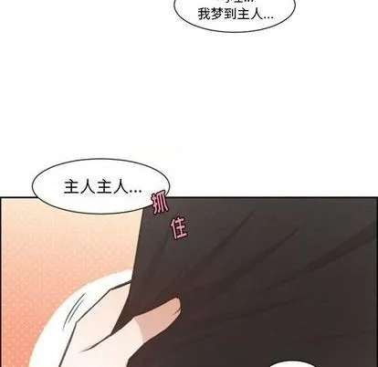 第79话 第43页