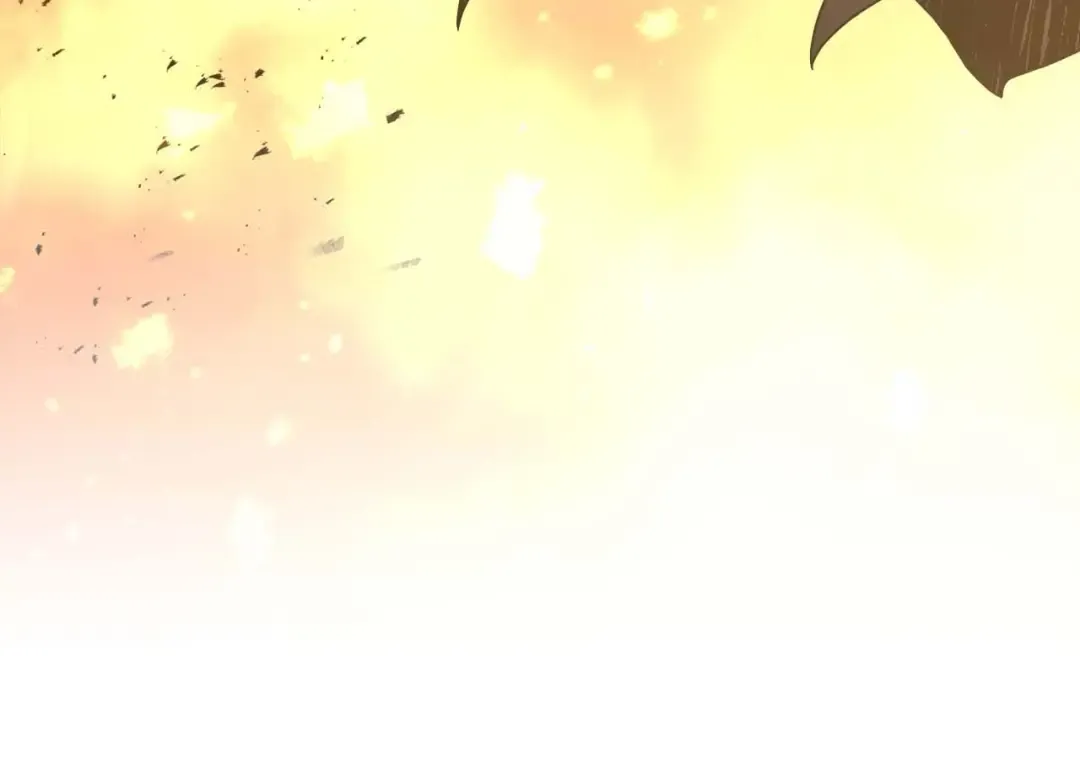 第102话 大战迪亚波罗 第13页