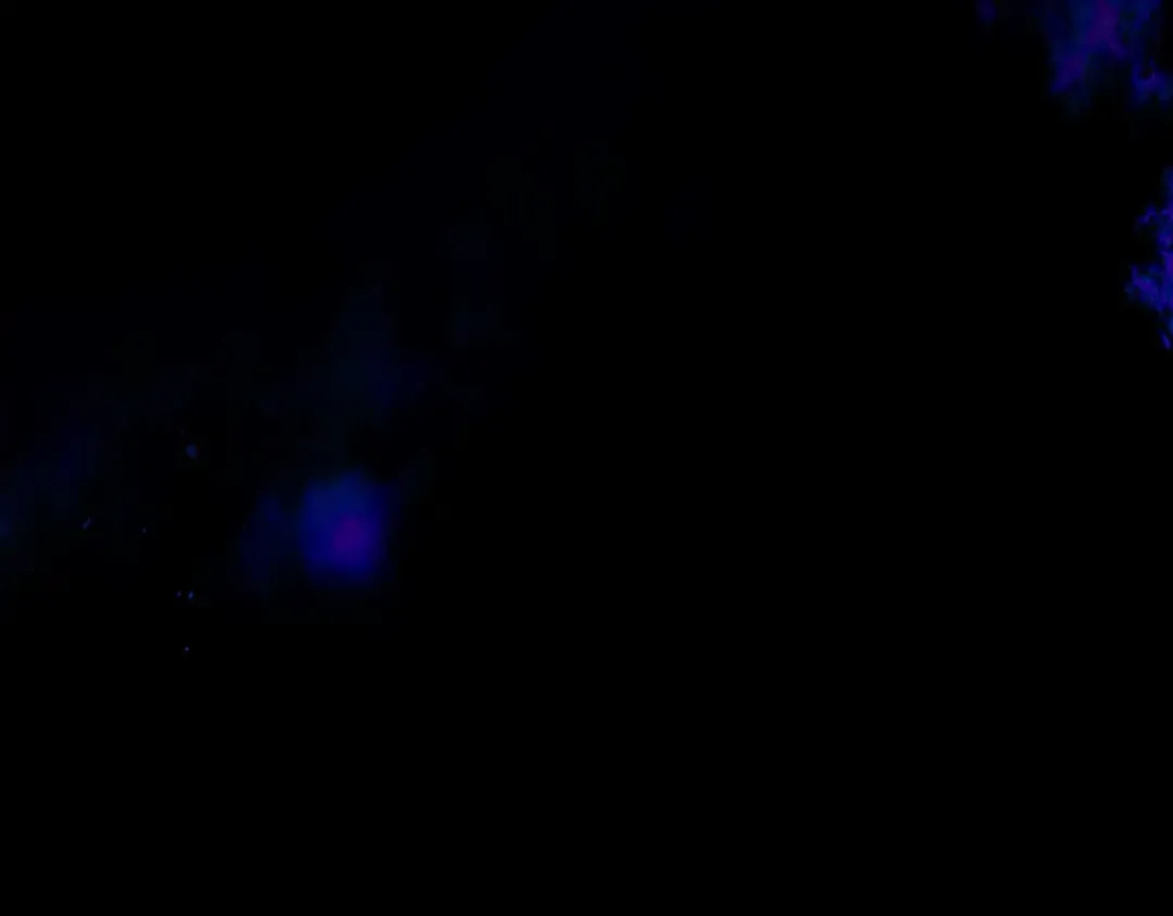 第137话 大蛇醒苏 第163页