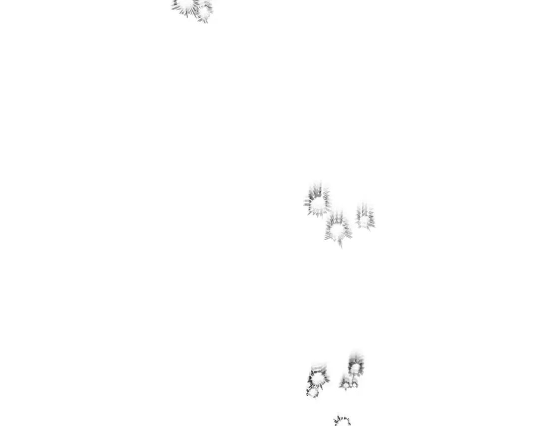 第163话 笼中鸟里的王牌 第47页