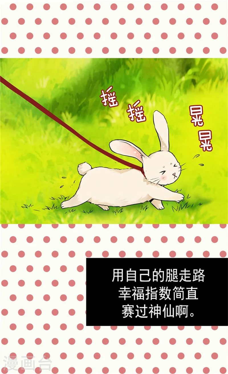 第92话 我可是你的哥哥 第17页
