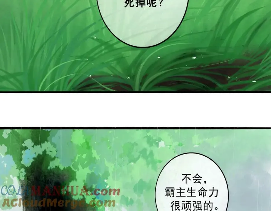 77.污点 第13页