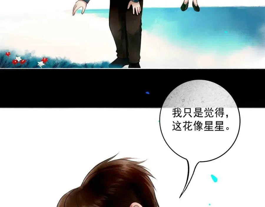 81.星星花 第12页