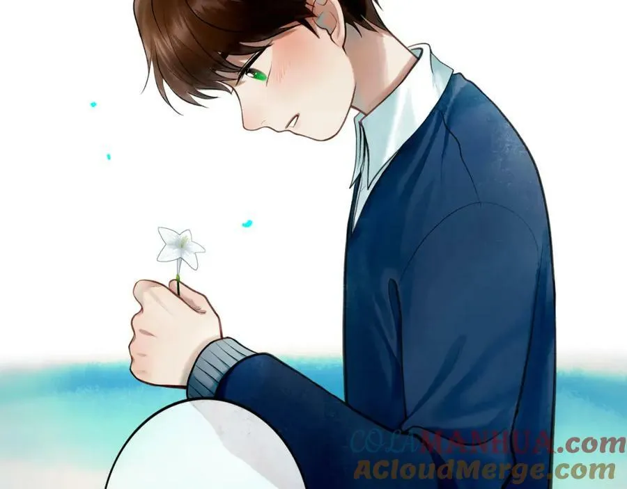 81.星星花 第13页
